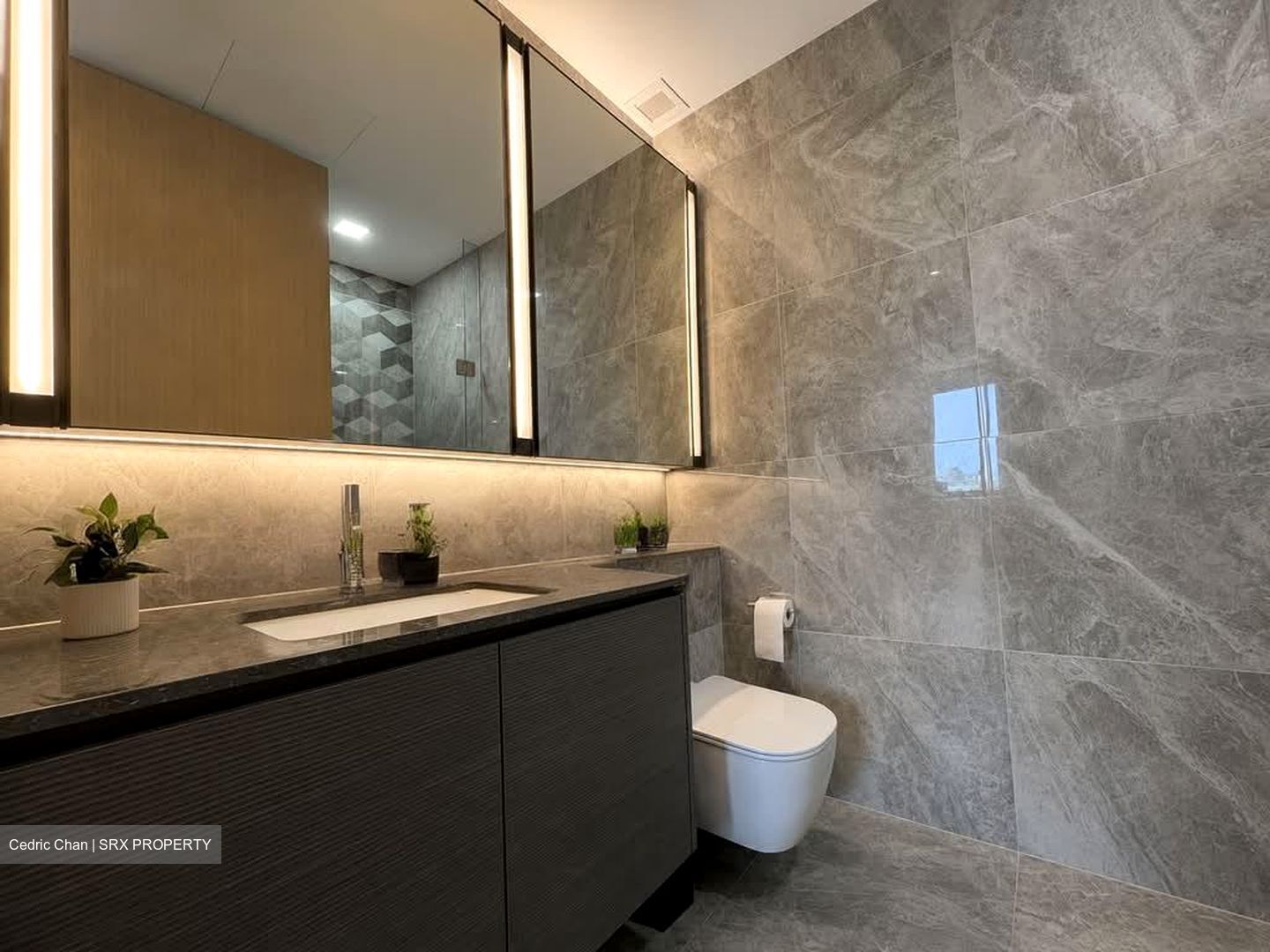 Leedon Green (D10), Condominium #596418371